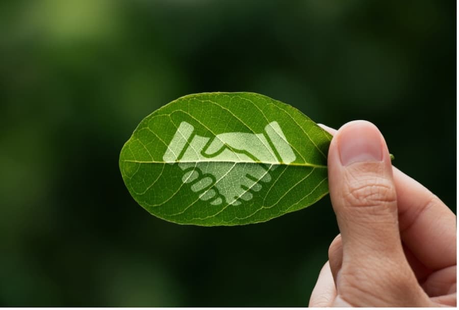 A hand holding a leaf with a logo on it